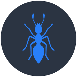 Ants